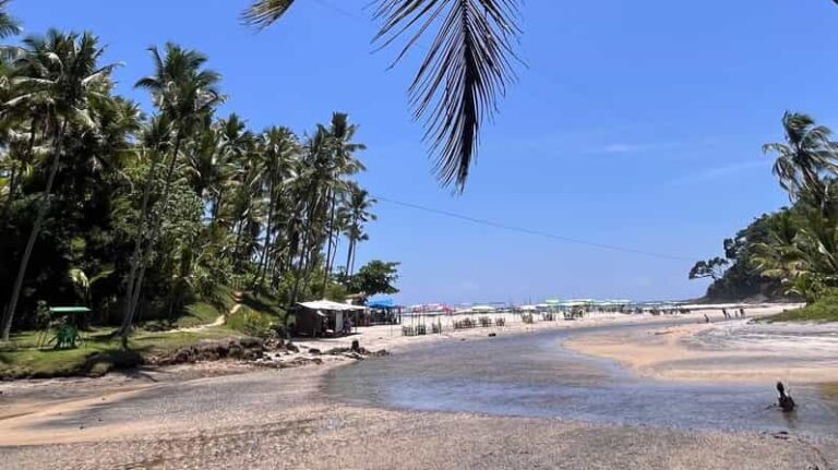 Itacare: Jeribucaçu Trail and Usina Waterfall - What’s Included and What to Expect