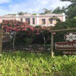 Itacare: Tour to the Vila Rosa Cocoa Farm - Value and Who It’s For