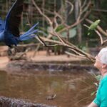 Itaipu Dam & Bird Park & Iguassu Falls Brazilian Side From Puerto Iguazu Hotels - Why This Tour Offers Great Value