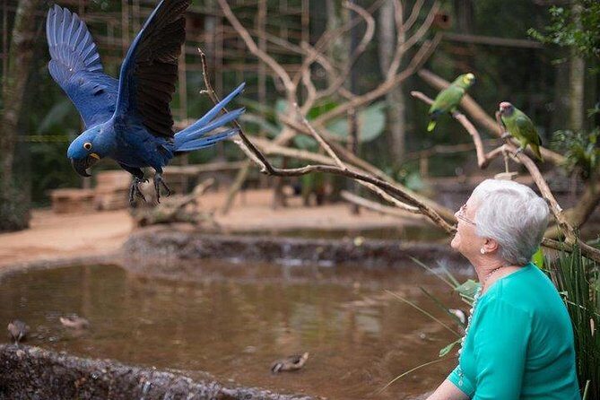 Itaipu Dam & Bird Park & Iguassu Falls Brazilian Side From Puerto Iguazu Hotels - Why This Tour Offers Great Value