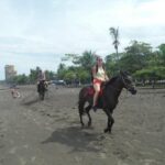 Jaco Beach Costa Rica Horseback Riding - Who Should Consider This Tour?