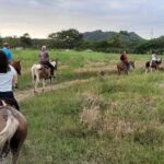 Jacó beach horseback riding experience - FAQ