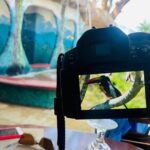 Jaco Highlights Tour - Isla Damas: Monkey and Bird Watching from the Water