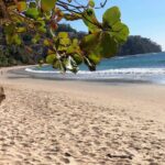 Jaco Highlights tour - What the Reviews Say