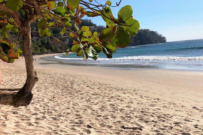 Jaco Highlights tour - What the Reviews Say