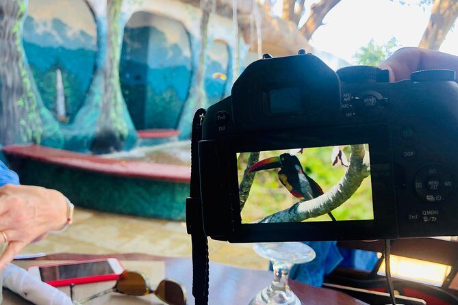 Jaco Highlights Tour - Isla Damas: Monkey and Bird Watching from the Water