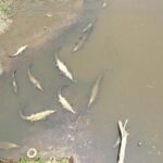 Jacos Wild Morning  Monkeys, Crocs & Local Flavors - Who is This Tour Best For?