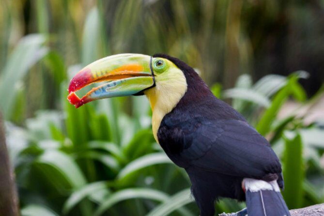 Jaime Duque Park Private Tour from Bogotá. (8 Hrs.) - Final Thoughts: Is It Worth It?