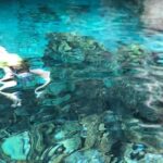 Jalapão 3 Days - A Detailed Look at the Jalapão 3-Day Tour