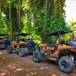 Jamaica: ATV, River Rafting & Blue Hole Tour from Ocho Rios - Why This Tour Works Well