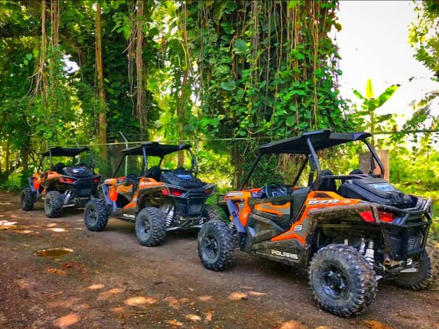 Jamaica: ATV, River Rafting & Blue Hole Tour from Ocho Rios - Why This Tour Works Well