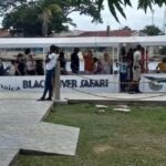 Jamaica: Black River Safari Guided Tour and YS Falls Tour - The Itinerary in Detail