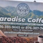 Jamaica Blue Mountain Coffee Tour and sightseeing experience - FAQs