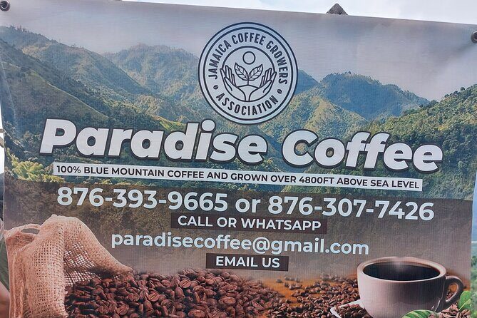 Jamaica Blue Mountain Coffee Tour and sightseeing experience - FAQs