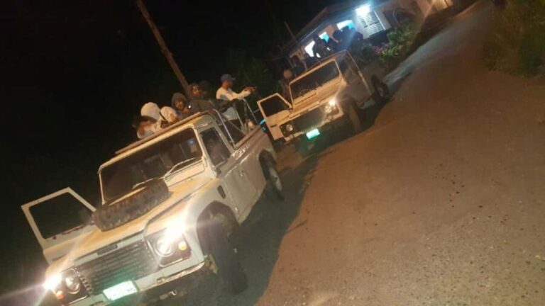 Jamaica: Blue Mountain Peak Hiking Tour - The Main Event: Trail to the Summit