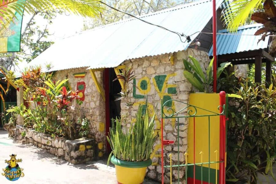 Jamaica: Bob Marley, Dunn's River Falls and Luminous Lagoon - A Closer Look at the Tour Experience