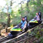 Jamaica: Bobsled and Dunn's River Falls Adventure Tour - Who Will Love This Tour?