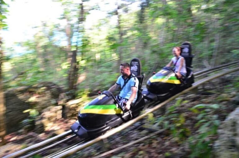 Jamaica: Bobsled and Dunn's River Falls Adventure Tour - Who Will Love This Tour?