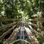 Jamaica Bobsled and Zip Line Adventure Tour - An In-Depth Look at the Jamaica Bobsled and Zip Line Tour