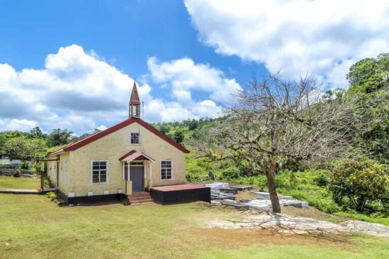 Jamaica: Dunn's River and Nine Miles - Who Should Consider This Tour?