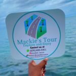 Jamaica Experience Bundle - Who Would Find This Tour Particularly Valuable?