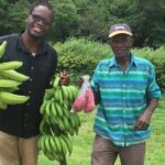 Jamaica Foodie and Cultural Experience & Konoko Falls Ocho Rios - A Closer Look at the Tour Itself