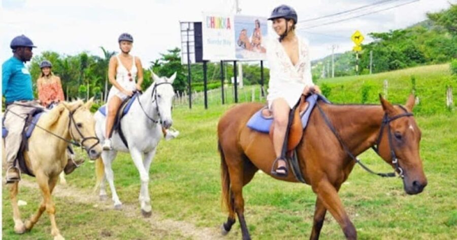 Jamaica: Private Horseback Ride and Swim in the Sea - The Experience Provider: Sunday-Stories