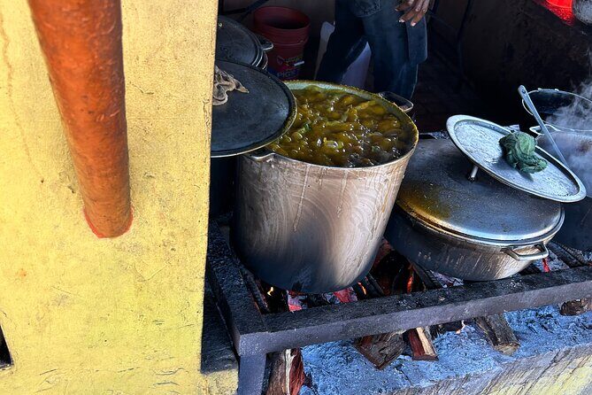 Jamaican Countryside Food Tasting Tour from Montego Bay - FAQ