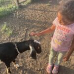 Jamaican Farm Life, Local Beach Experience - Family Friendly - Why This Tour Works Well