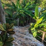 Jamaican Roots Tropical Farm Tour - Taste & Explore (Negril) 2hr - What to Expect During the Itinerary