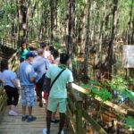 Jamwest Off-Road ATV Adventure & JamCulture Tour Combo in Negril - Practical Tips for Your ATV Adventure