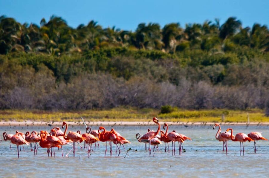 Jaragua National Park: Explore Laguna de Oviedo - Laguna de Oviedo: The Heart of the Tour