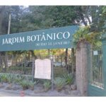 Jardim Botânico do Rio de Janeiro - Exploring Rio’s Botanical Garden: What to Expect