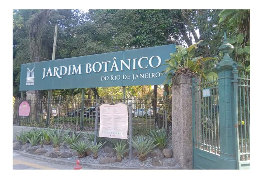 Jardim Botânico do Rio de Janeiro - Exploring Rio’s Botanical Garden: What to Expect