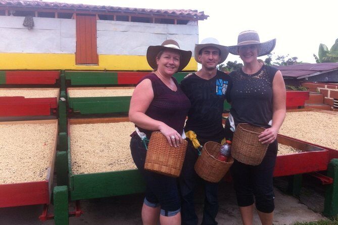 Jardin Private Day Trip: Colombian Coffee Tour from Medellin - A Closer Look at the Itinerary