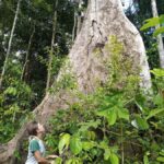 Javari Expedition - Who Should Consider This Tour?