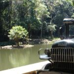 Jeep Adventure: guided tour through Tijuca Rain Forest - The Complete Picture: A Detailed Look at the Tijuca Jeep Tour