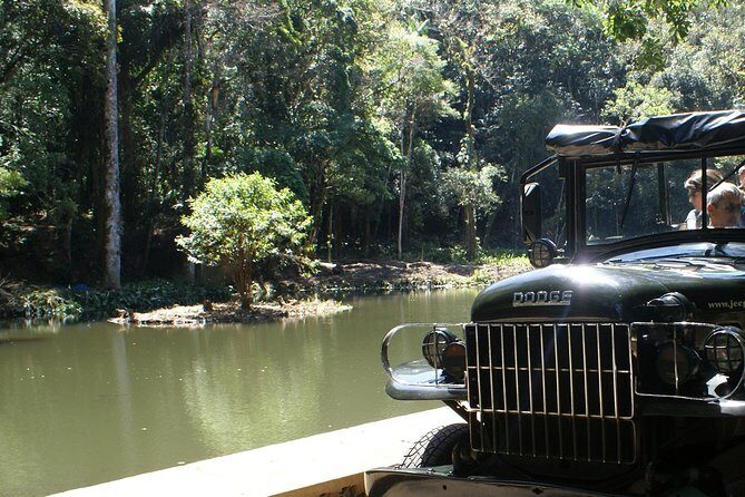 Jeep Adventure: guided tour through Tijuca Rain Forest - The Complete Picture: A Detailed Look at the Tijuca Jeep Tour