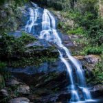 Jeep Tour - Tijuca Tropical Forest - Authentic Insights from Travelers