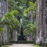 Jeep Tour to Botanical Garden and Tijuca Rainforest - Final Thoughts: Is It Worth It?