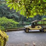 Jeep'n'Culture: Rocinha Favela and Tijuca Rainforest Tour - The Experience: Balancing Value and Authenticity