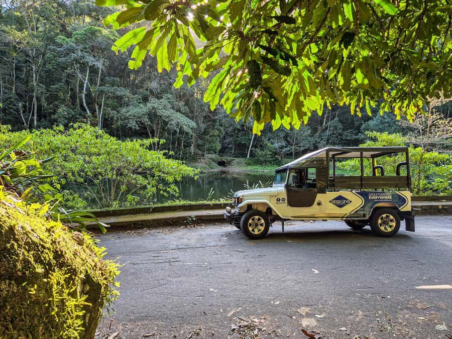 Jeep'n'Culture: Rocinha Favela and Tijuca Rainforest Tour - The Experience: Balancing Value and Authenticity