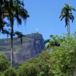 Jeep'n'Green: Rio Botanical Garden and Tijuca Rainforest Tour - Who Will Love This Tour?