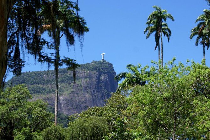 Jeep'n'Green: Rio Botanical Garden and Tijuca Rainforest Tour - Who Will Love This Tour?