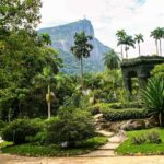 Jeep'n'Green: Rio Botanical Garden & Tijuca Rainforest Tour - Authentic Traveler Insights and Considerations