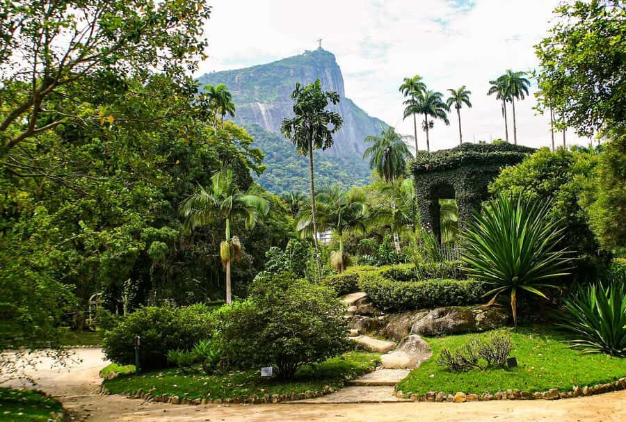 Jeep'n'Green: Rio Botanical Garden & Tijuca Rainforest Tour - Authentic Traveler Insights and Considerations