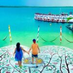 Jericoacoara Premium Full Day Tour - Insights from Reviewers