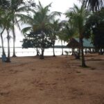 Jodensavanna Cultural Tour with Lunch on Overbridge - Who Will Love This Tour?