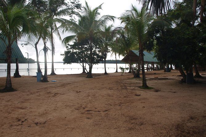 Jodensavanna Cultural Tour with Lunch on Overbridge - Who Will Love This Tour?