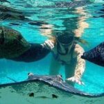Johnny Cay Tour Haynes Cay Aquarium, Watching and Mangroves - Why Choose This Tour?